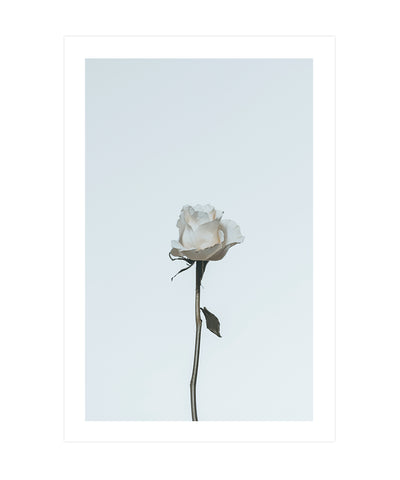 Single Rose – Art Glass Love by Wardell